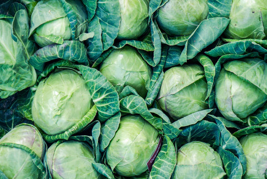 Les 13 légumes verts à feuilles les plus sains