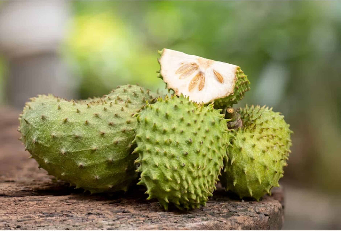 Corossol : 10 bienfaits pour la santé et comment le consommer