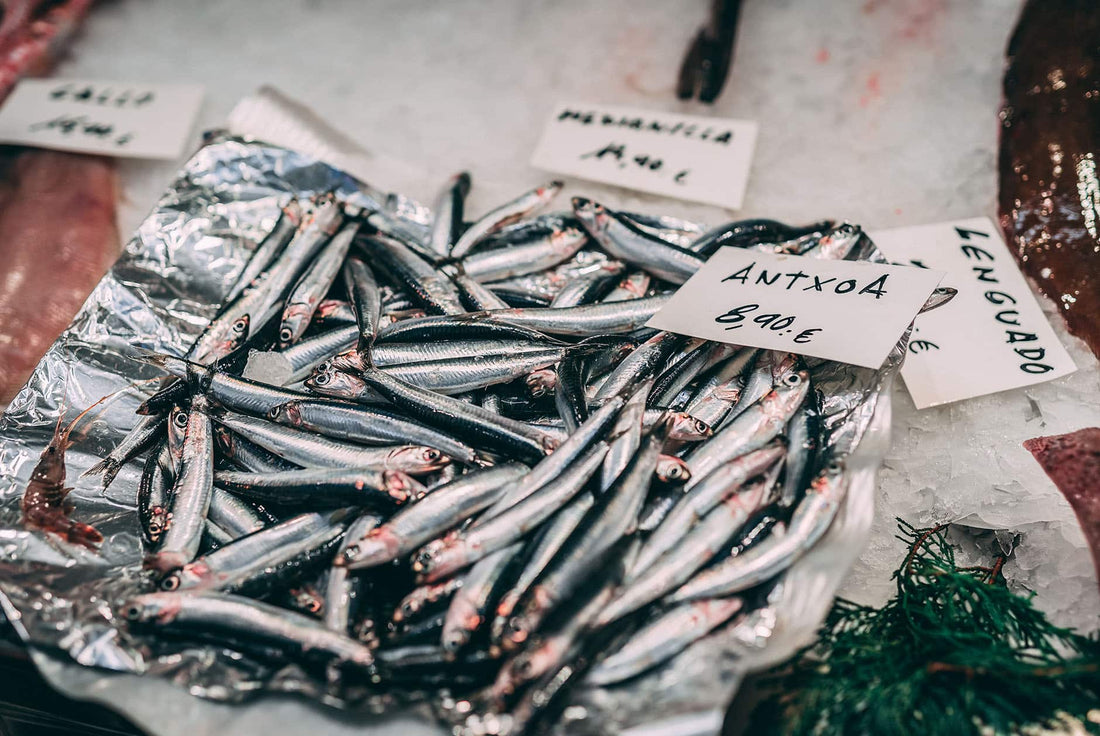 Tous les bienfaits des anchois pour la santé