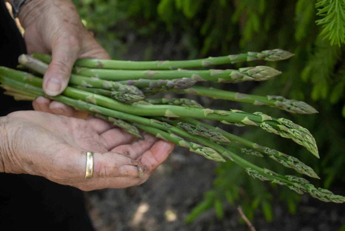 7 raisons pour lesquelles vous devriez manger plus souvent des asperges