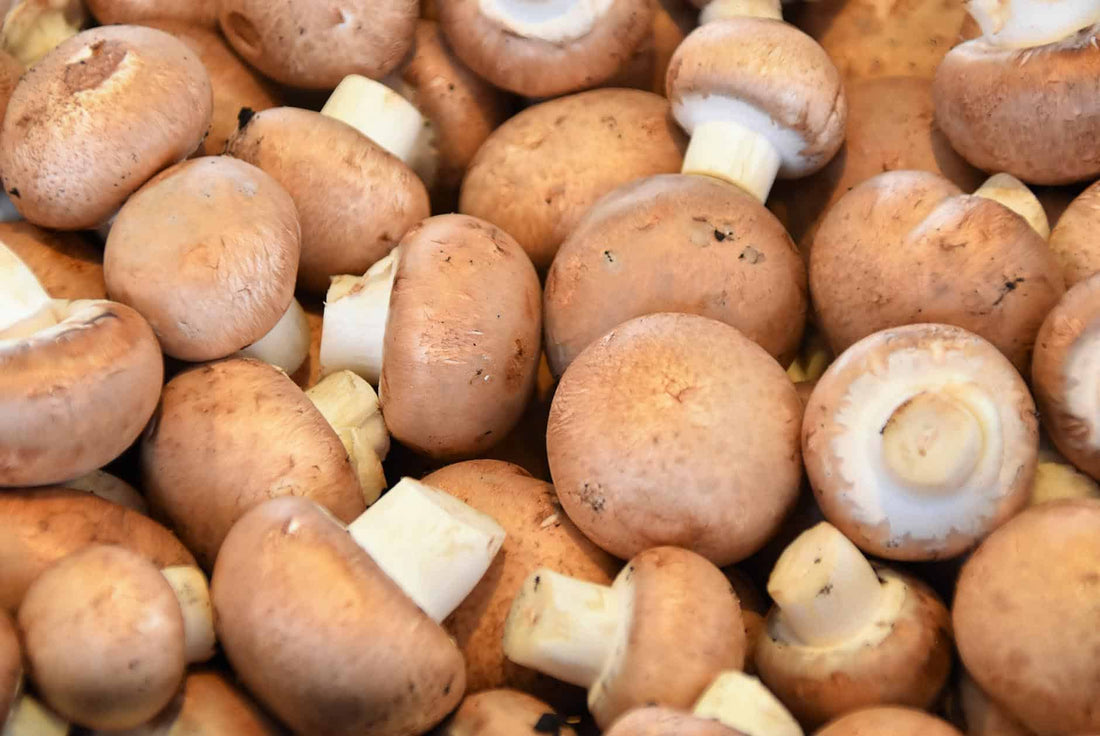Les avantages pour la santé des champignons de Paris