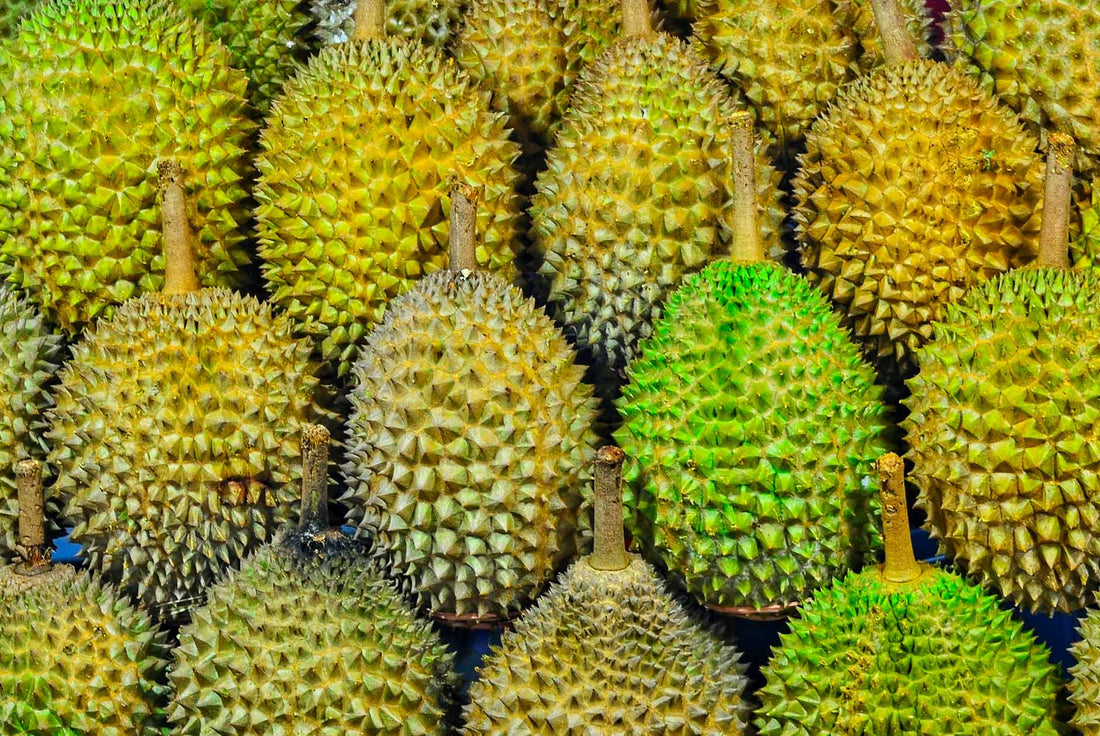 Durian : calories, faits nutritionnels et bienfaits pour la santé