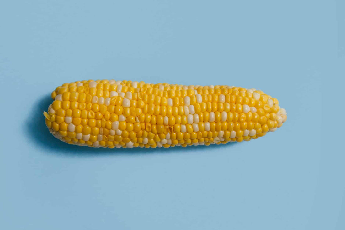 Sirop de maïs : tous les dangers pour votre santé