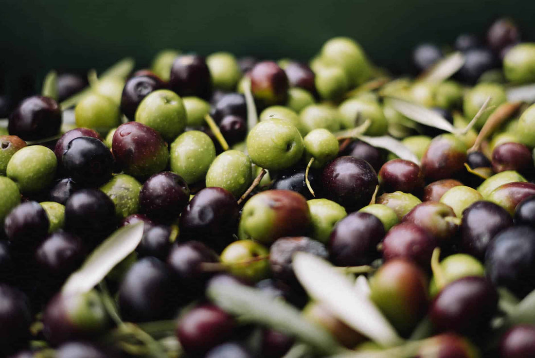 Olives : calories, faits nutritionnels et bienfaits pour la santé