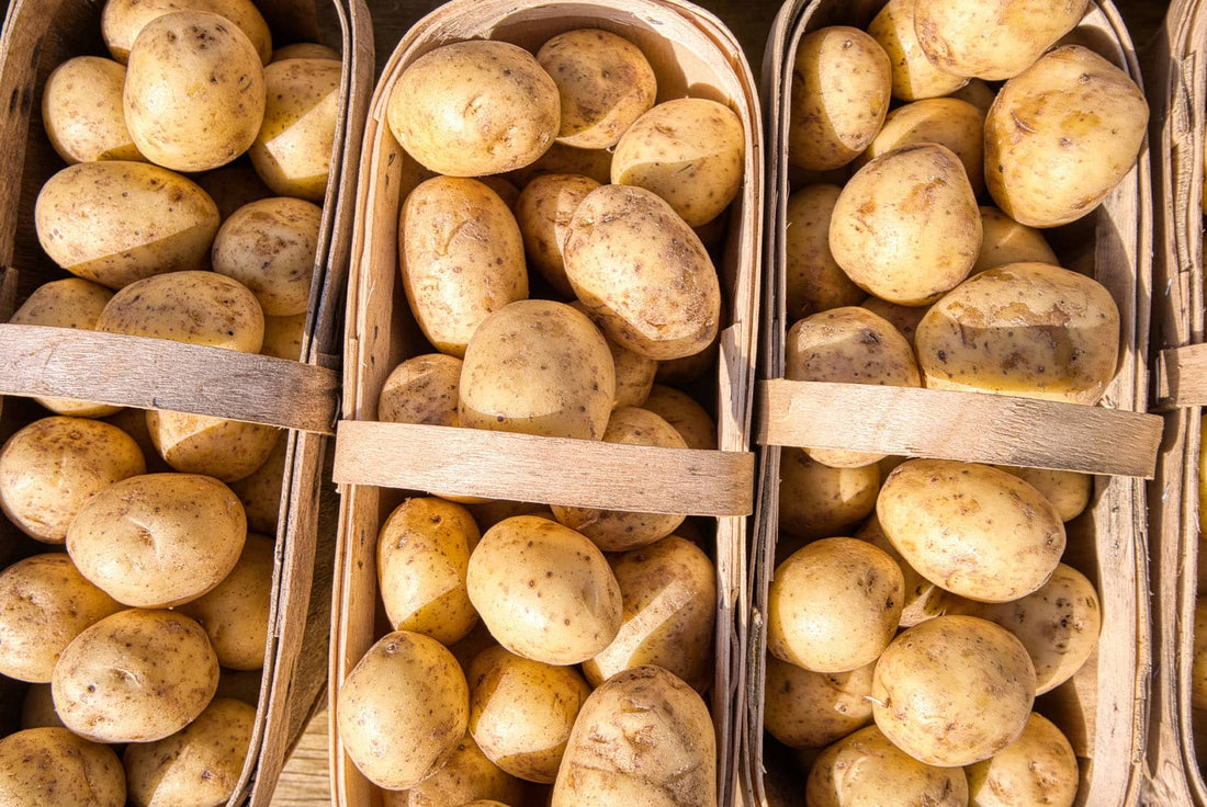 Les nombreux bienfaits des pommes de terre sur la santé