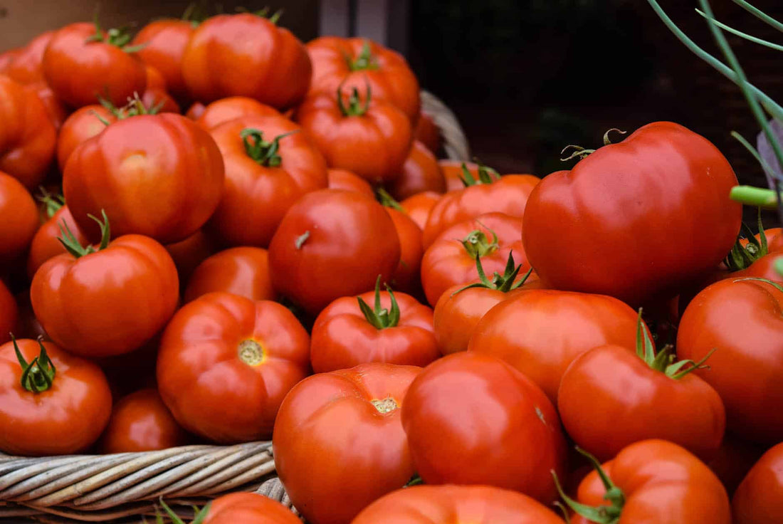 Tomate : calories, faits nutritionnels et bienfaits pour la santé